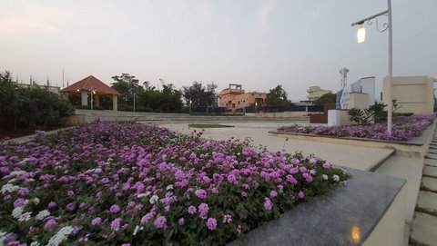 Amphitheater Garden